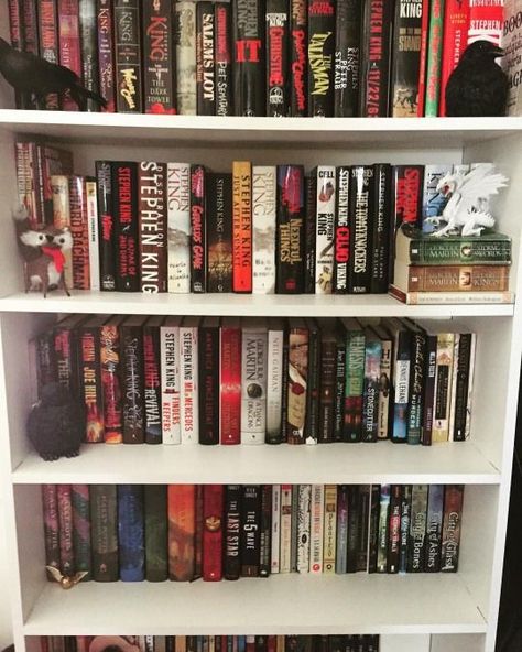 Stephen King Books Aesthetic, Book Collection Aesthetic, Grilled Cheese And Tomato Soup, Soup For Dinner, Cheese And Tomato, Stephen King Books, King Quotes, Horror Book, Cool Books