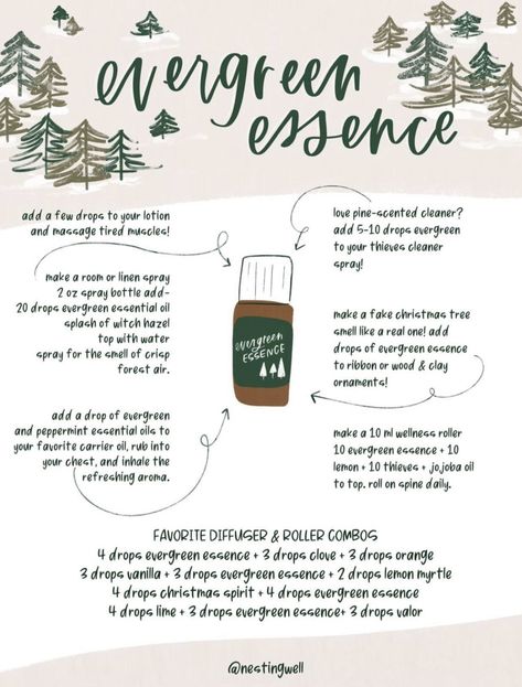 Evergreen Essence Diffuser Blends, Diffuser Blends Young Living, Scent Blends, Young Living Diffuser, Diffuser Oils, Fake Christmas Trees, Essential Oil Diffuser Blends Recipes, Young Living Essential Oils Recipes, Essential Oils Cleaning