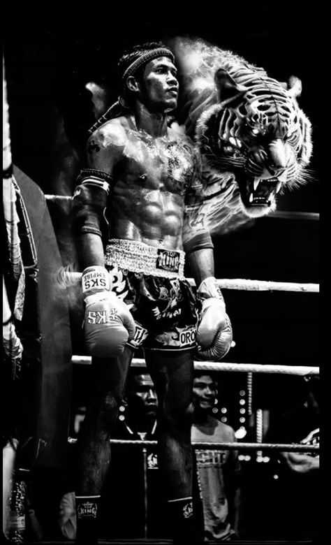 Buakaw Muay Thai Wallpaper, Mma Wallpaper Ufc, Muay Thai Wallpaper, Muay Thai Aesthetic, Boxer Wallpaper, Ufc Wallpapers, Muay Thai Art, Mma Wallpaper, Warrior Tiger