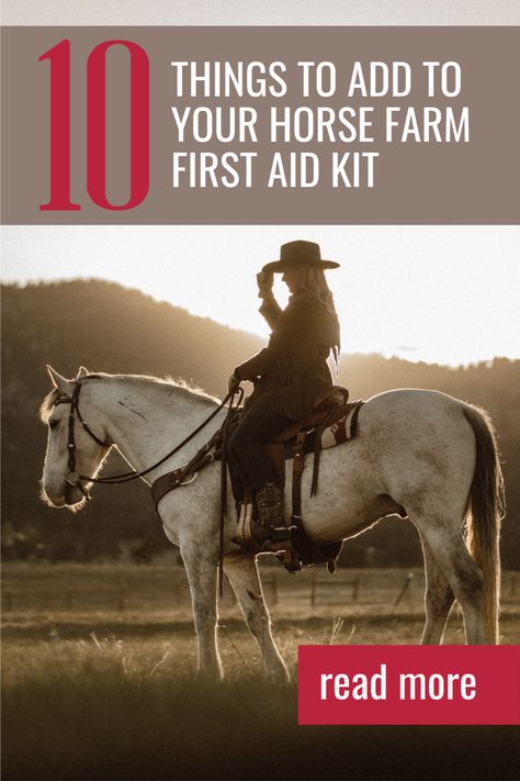 What does your horse farm first aid kit need? Click here for some helpful horse care tips! Equine First Aid Kit, Horse Medicine, Horse First Aid Kit, How To Take Care Of A Horse, Horse First Aid, Taking Care Of Horses For Beginners, Horse Nutrition, Equine Nutrition, Horse Care Tips