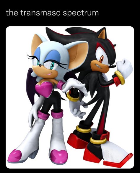 Shadow And Rouge, Sonic Adventure 2, Rouge The Bat, Sonic Franchise, Sonic Adventure, Sonic And Shadow, Amy Rose, Group Pictures, Sonic Boom