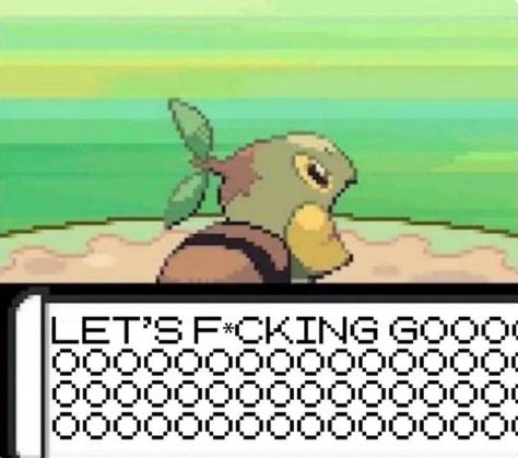 Pokemon Game, Pokemon Gif, Gotta Catch Them All, Pokemon Memes, Pokemon Funny, Pokemon Pictures, Funny Reaction Pictures, Cute Pokemon, Really Funny Pictures