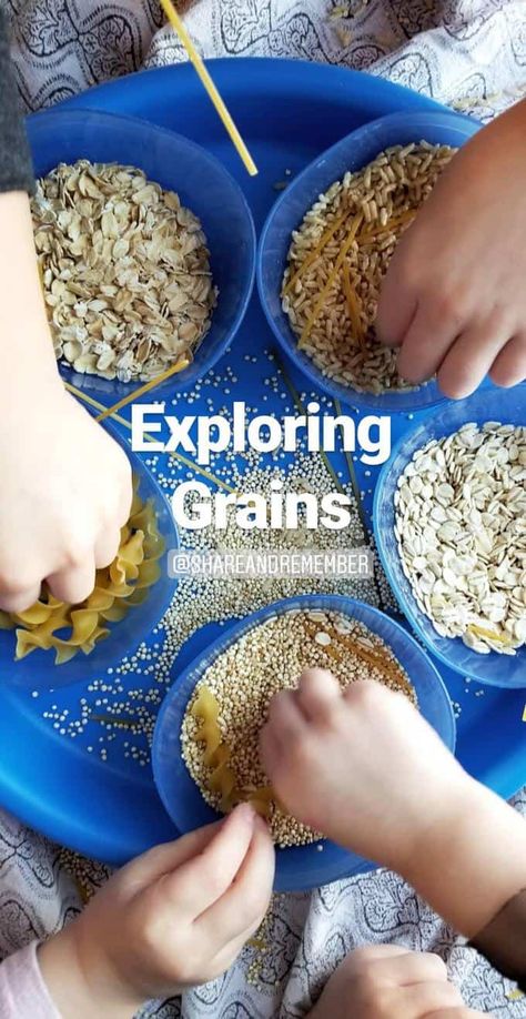 Exploring Grains sensory play- Mother Goose Time Health and Fitness theme for February 2019 - Preschool curriculum Food Groups - Grains activities #MGTblogger #MGTHealthandFitness #ece #preschool #nutritiontheme Healthy Food Activities, Preschool Food, Preschool Cooking, Cooking Theme, Baking Theme, Nutrition Activities, Nutrition Month, Food Activities, Sport Nutrition