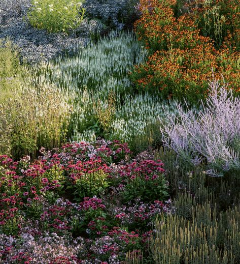 Perennial Gardens, Piet Oudolf, Prairie Garden, Vitra Design Museum, Meadow Garden, Sloped Garden, Landscape Designer, High Line, Plant Combinations