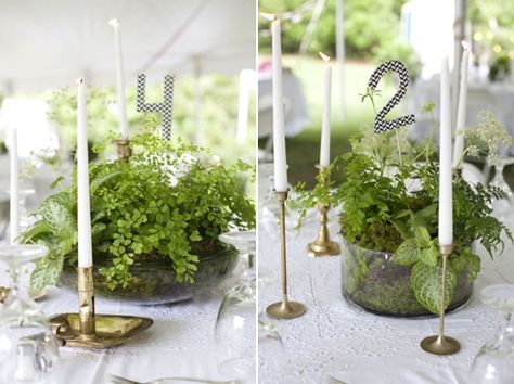 Wedding Table Decorations: Potted Plants minus the candles....some "just greenery" would be pretty Potted Plant Centerpieces, Fern Centerpiece, Cheap Wedding Table Centerpieces, Succulent Wedding Centerpieces, Plant Centerpieces, Fern Wedding, Succulent Centerpieces, Unique Wedding Flowers, Wedding Table Flowers