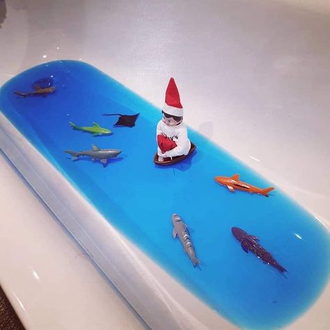 Elf On The Shelf Shark Ideas, Elf Shelf, Shelf Elf, Awesome Elf On The Shelf Ideas, Xmas Elf, Elf Ideas, Elf Christmas, Elf On The Shelf Ideas, Shelf Ideas