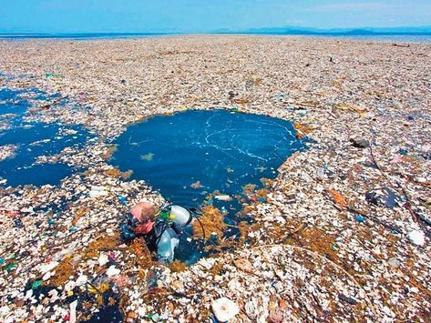 Just a small overlook of what some places in our oceans look like. Sea Pollution, Pacific Garbage Patch, Great Pacific Garbage Patch, Save Planet Earth, Marine Debris, Ocean Pollution, Save Our Earth, Save Our Oceans, Marine Conservation