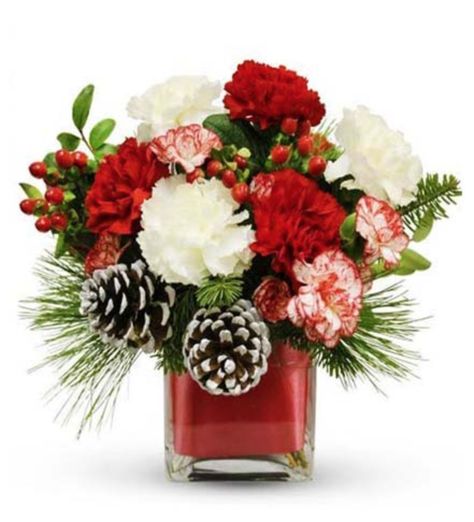 Celebrate the holidays with our Season's Greetings Bouquet!  This joyous bouquet features festive holiday embellishments and red hypericum berries that accent a beautiful assortment of red and white carnations.  It is sure to bring holiday cheer to your lucky recipient.  Item pictured is a depiction of an arrangement that we will make as similar as possible with the same look and feel. Affordable Flower Arrangements, Apple Christmas, Christmas Floral Arrangements, Popular Christmas Gifts, Holiday Flower, Christmas On A Budget, Christmas Gathering, Flowers Delivered, Sympathy Flowers