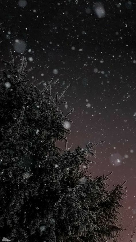 Snowing Aesthetic Wallpaper, Winter Wonderland Wallpaper, Snow Wallpaper, Eiffel Tower Photography, Winter Retreat, L Wallpaper, Nature Iphone Wallpaper, Christmas Aesthetic Wallpaper, Dark Christmas