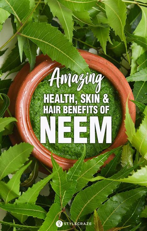 Neem Benefits, Herbs For Skin, Benefits Of Neem, Neem Tree, Neem Powder, Tomato Nutrition, Calendula Benefits, Fruit Health Benefits, Matcha Benefits