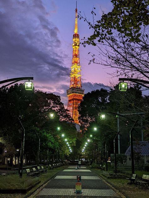 Tokyo Tower Night, Sakura Season, Trip Aesthetic, Travel Wishes, 카드 디자인, Tokyo Tower, Poses Reference, Japan Photo, Pictures Of People