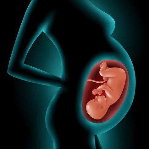 Silhouette Of Pregnant Woman With Fetus In Womb Pregnancy Images, Baby Information, 3d Vector, Prenatal Yoga, Pregnant Woman, Graphic Editing, Psychic Reading, Getting Pregnant, Future Baby