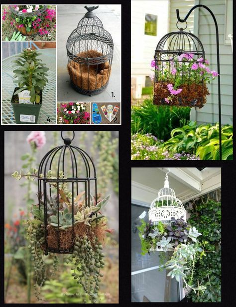 Bird Cage Diy Decorating, Metal Bird Cage Decor Ideas, Bird Cages In The Garden, Large Bird Cage Decor Ideas, Bird Cage Planter Ideas, Repurposed Bird Cage Ideas, Patio Planter Ideas, Vintage Bird Cage Decor, Birdcage Planter