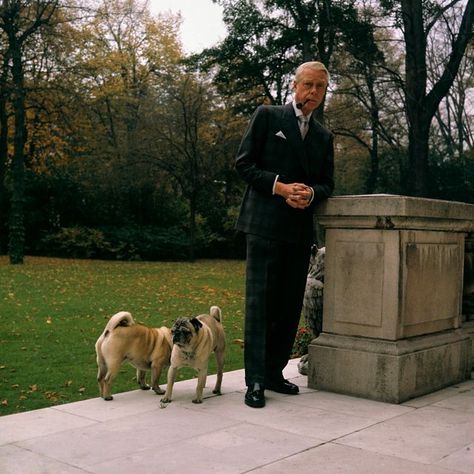 Mohamed Al Fayed, Edward Albert, Duke Of Windsor, British House, Wallis Simpson, Edward Viii, Pug Dogs, House Of Windsor, Great Love Stories