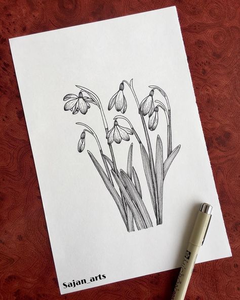 Snow Drop Line Art, Snowdrop Doodle, Snowdrop Sketch, Snowdrop Flower Drawing, Snowdrop Drawing, January Doodles, Snow Drops Flowers, Metamorphosis Art, Snowdrop Flowers