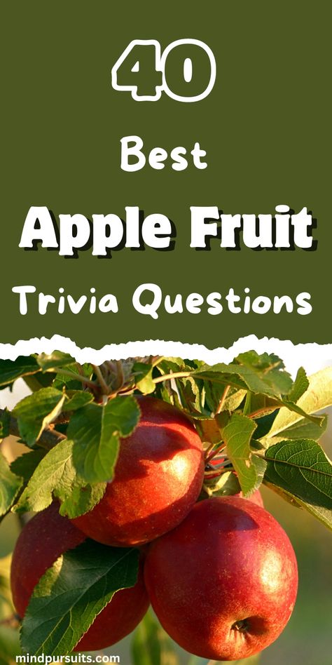 Test your apple knowledge with these 40 fun trivia questions! Perfect for quizzes and learning. 🍎 Click to explore more juicy facts! Apple Trivia, Food Trivia, Fun Trivia Questions, Trivia Question, Curious Facts, Fun Trivia, Apple Fruit, Fun Quiz, Trivia Questions