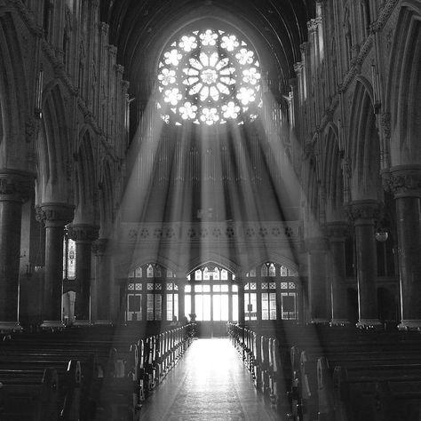 Gothic Study, Church Aesthetic, Gothic Windows, Gothic Buildings, Gothic Cathedrals, Cathedral Architecture, Gothic Cathedral, Gothic Church, Church Interior