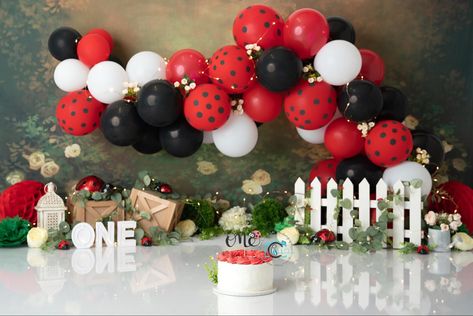 Ladybug 1st Birthday Photo Shoot, Ladybug Cake Smash, Ladybug Balloon Arch, Ladybug Balloon Garland, Ladybug Photoshoot, Ladybug Smash Cake, Ladybug Baby Shower Theme, Ladybug First Birthday, Smash Cake Session