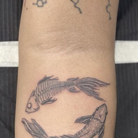 Fish Tattoo Skeleton, Skeleton Koi Fish Tattoo, Pieces Zodiac Tattoo Fish, Gemini Fish Tattoo, Pretty Fish Tattoo, Dead Fish Tattoo, Koi Fish Skeleton, Skeleton Fish Tattoo, Fishbone Tattoo