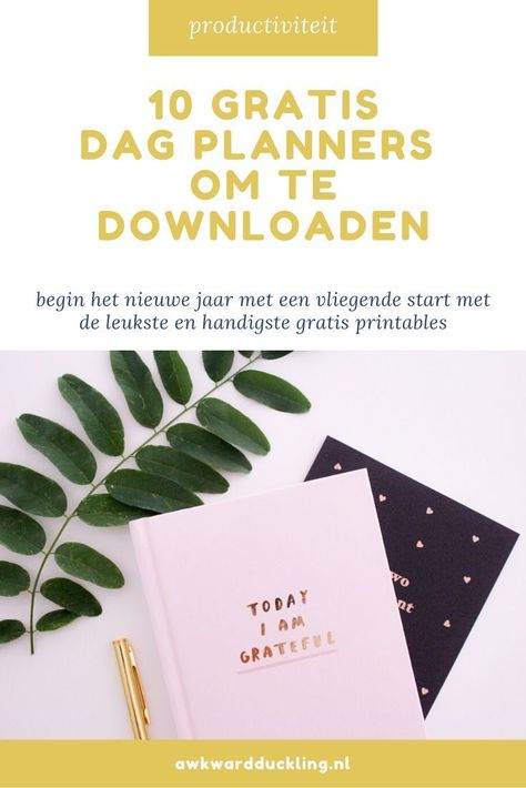 Maak een vliegende start met jouw goede voornemens, prachtige nieuwe plannen én de beste gratis printables om je op weg te helpen. Gratis Printables, Physical Planner, Planners Printables, Planner Organization, Zero Waste, Printable Planner, Free Printables, Blogger, Lifestyle