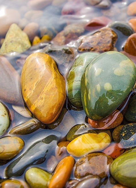 Aspen Art, Underwater Painting, Rock Photography, Rock Textures, Inspiration Painting, Rock And Pebbles, Realistic Art, Watercolor Landscape, Stone Art