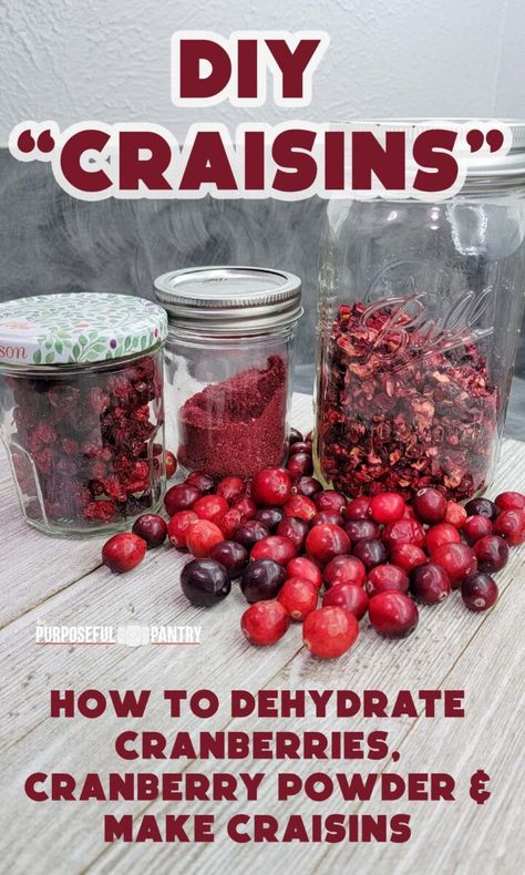 How To Use Cranberries, Cranberry Kraut, Dehydrate Cranberries, Purposeful Pantry, Craisins Recipes, Dehydrating Vegetables, Dehydrator Ideas, Dehydrated Recipes, Dried Cranberries Recipes