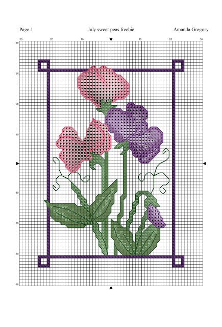 July sweet peas free cross stitch chart Pomegranate Quilt, Free Cross Stitch Charts, Cross Stitch Freebies, Favourite Flowers, Cross Stitch Pillow, Cross Stitch Love, Cross Stitch Patterns Flowers, Cross Stitch Cards, Sweet Peas