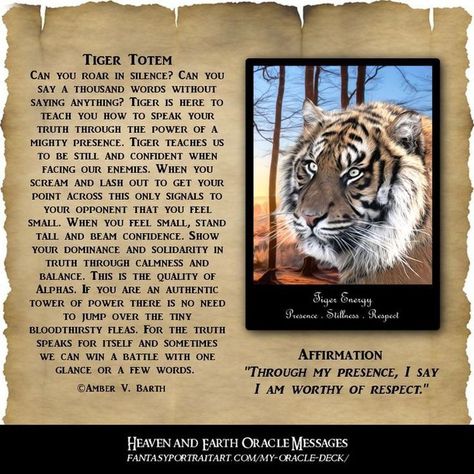 Tiger Totem, Oracle Messages, Animal Totem Spirit Guides, Tiger Spirit Animal, Spirit Animal Meaning, Tiger Spirit, Totem Animals, Spirit Animal Totem, Animal Spirit Guide