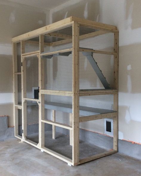 Cat Enclosure In Garage, Cat Litter Box Garage Enclosure, Garage Cat House, Cat Litter Box In Garage, Cat Garage Ideas, Indoor Raccoon Enclosure, Garage Cat Enclosure, Cat Litter Box Ideas For Garage, Cat Area In Garage