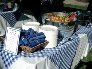 use our site for any color party linens with free shipping both ways. asaplinen.com Blue And White Picnic Decor, Blue And White Bbq Decor, Blue Gingham Decor, Blue Picnic Theme Party, Gingham Party Decor Picnic Theme, Blue Gingham Table Setting, Birthday Dinner Decorations, Blue Gingham Wedding, Blue And White Gingham Party