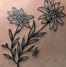 Edelweiss Flower Tattoo, Matterhorn Tattoo, Edelweiss Tattoo, Moutain Tattoos, Germany Tattoo, Flower Wrist Tattoos, Edelweiss Flower, Flowers Cute, Wrist Tattoos For Women