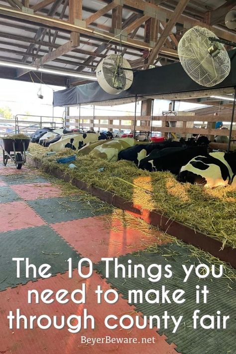 10 things every 4-H Mom needs to have at the county fair or stock show when your kids are showing livestock in 4-H or at National Shows. County Fair Projects, 4h Goats, Show Cattle Barn, 4h Fair, Fair Week, Stall Decorations, Cow Names, Livestock Barn, Show Steers