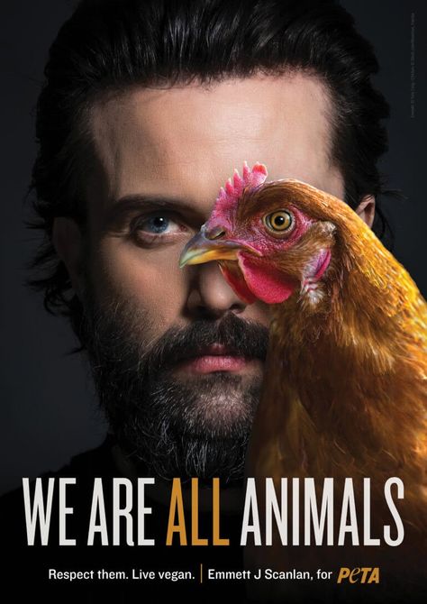 Animal Conservation, Animal Activism, Burning Workout, Why Vegan, Workout Routines For Beginners, Publicidad Creativa, Vegan Living, Campaign Posters, All Animals