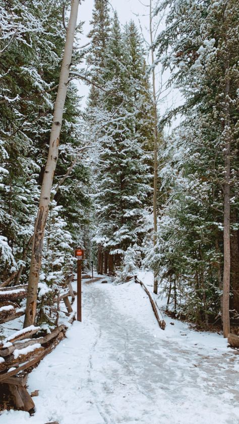 Breckenridge Troll | Isak Heartstone is a 15-foot tall wooden troll sculpture located on the Trollstigen Trail in Breckenridge, Colorado. I suggest you to go in winter! Colorado Vision Board, Colorado Winter Aesthetic, Telluride Colorado Winter, Colorado In Winter, Pnw Winter, Breckenridge Colorado Winter, Colorado Honeymoon, Winter Engagement Party, Colorado Aesthetic