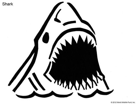 Jaws Shark Pumpkin Carving Stencil, Shark Pumpkin Carving, Lantern Shark, Shark Stencil, Shark Pumpkin, Fin Drawing, Tooth Template, Shark Crafts, Skeletal System Worksheet