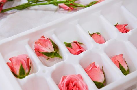 Diy For Valentines Day, Rose Ice Cubes, Fancy Ice Cubes, Rum And Coke, Unique Drinks, Flower Ice Cubes, Fancy Ice, Romantic Diy, Floral Ice