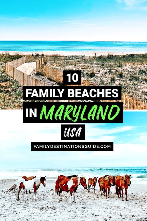 Maryland Vacation Ideas, Maryland Day Trips, Maryland Vacation, Maryland Beaches, Best Family Beaches, Kid Friendly Vacations, Beach Food, Family Beach Trip, Fall Vacations