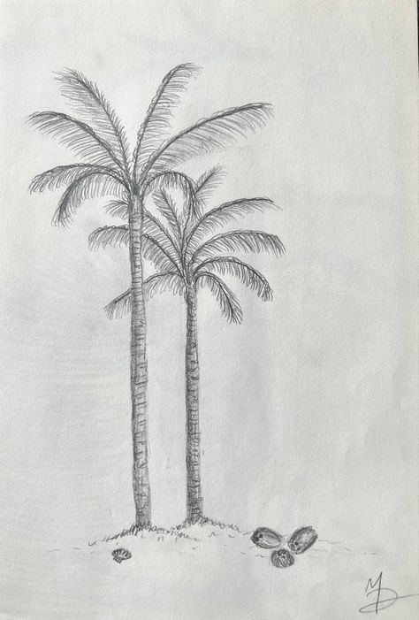 Beach Plants Drawing, Palm Tree Drawing Sketches, How To Draw A Palm Tree, Beach Drawing Sketches, Palm Tree Sketch, Bird Pencil Drawing, Palm Tree Drawing, Palm Trees Landscaping, Landscape Pencil Drawings