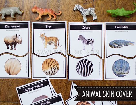 Animals Of The World Activities, Wild Animals Theme Table Preschool, Zoo Preschool, Animal Table, Tame Animals, Homeschool Hacks, Animal Learning, Animal Classification, Animal Printables