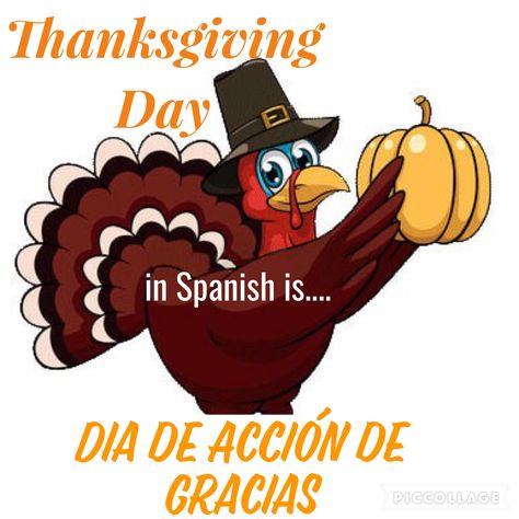 Happy Thanksgiving In Spanish, Sayings In Spanish, Thanksgiving Pics, Spanish Thanksgiving, Thanksgiving Sayings, Happy Thanksgiving Pictures, Happy Thanksgiving Images, Thanksgiving Books, Characters Disney