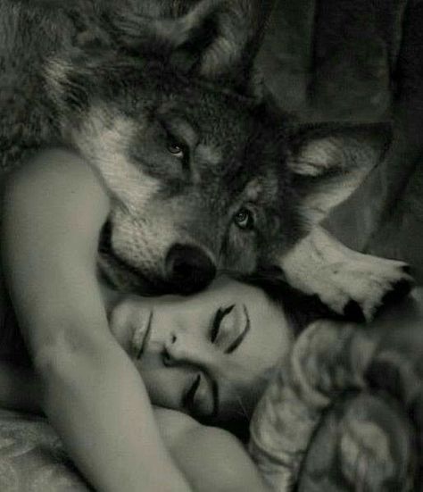 Lone Wolf Quotes, Wolves And Women, Wolf Stuff, Fantasy Wolf, Wolf Quotes, Wolf Spirit Animal, Wolf Love, Wolf Pictures, Wolf Spirit