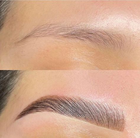 Eyebrow Goals, Eyebrows Goals, Brow Studio, Hd Brows, Brow Lift, Beauty Therapist, Brow Lash, Natural Eyebrows, Beauty Therapy