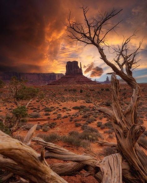 Monument Valley Utah, Utah Parks, Utah Desert, Desert Places, Red Desert, Desert Aesthetic, Beautiful Nature Wallpaper Hd, Beautiful Waterfalls, Beautiful Nature Wallpaper