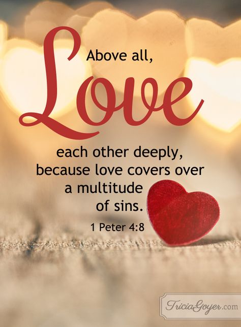 1 Peter 4:8 (NKJV) ~~ And above all things have fervent love for one another, for “love will cover a multitude of sins.”  ~~ Love Each Other Deeply | 1 Peter 4:8 Love One Another Quotes, Vertrouw Op God, 1 Peter 4 8, Love Cover, Ayat Alkitab, Bible Love, Biblical Quotes, 1 Peter, Favorite Bible Verses