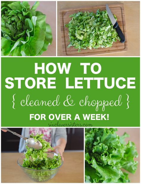 Storing lettuce | Storing Chopped Lettuce | Healthy Eating | In the fridge | This is how to store lettuce in your fridge for at least a week! Keep it cleaned and chopped so you can make a healthy lunch or dinner in no time at all! Storing Lettuce, Flavorful Salads, Wilted Greens, Lettuce Recipes, Storing Vegetables, Storing Fruit, Kale Salad Recipes, Drink Inspiration, Fruit And Vegetable Storage