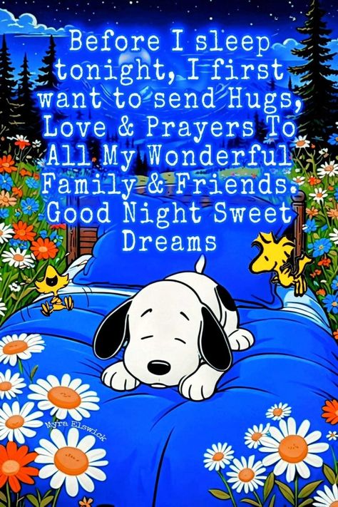 Thank God Quotes, Snoopy Good Night, Good Night Snoopy, Goodnight Snoopy, Inspirational Friend Quotes, Evening Blessings, Uplifting Sayings, Good Night Prayer Quotes, Nite Nite