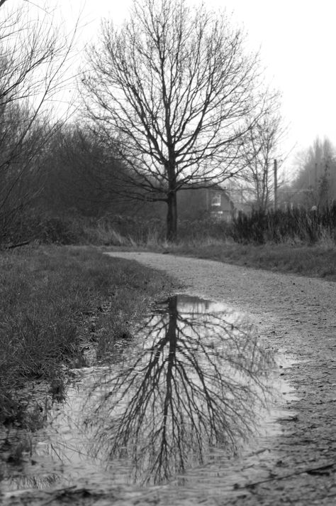 Distorted Nature Photography, Distortion Photography Landscape, Light And Dark Photography A Level, Environment Photography Landscape, Power Photography Gcse, A Level Photography Themes, Regeneration Photography, Places And Spaces Gcse Photography, Places And Spaces Gcse Art