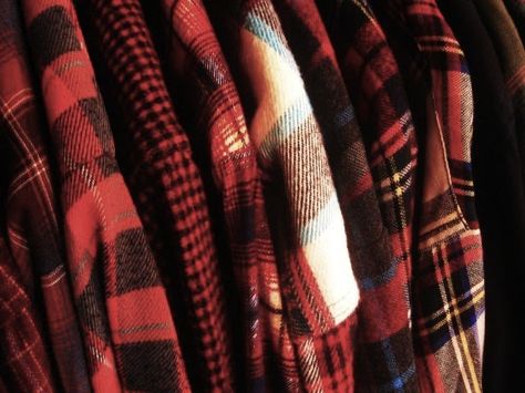 my cozy tree house Flannel Aesthetic, Gryffindor Aesthetic, Miss Americana, Lake Front, The Adventure Zone, Red Flannel, Life Is Strange, Men's Apparel, Field Jacket