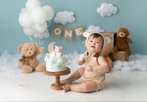 Bear Theme Photo Shoot, Teddy Bear Theme Photoshoot, Teddy Bear Themed Photoshoot, Bear Themed Cake Smash, Teddy Bear Theme Cake Smash, First Birthday Theme Photoshoot, Cake Smash Bear Theme, Teddy Bear Cake Smash Photo Shoot, Teddy Bear One Year Old Photoshoot