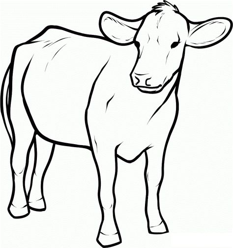 Free Printable Cow Coloring Pages For Kids Cow Coloring Pages, Cow Drawing, Baby Coloring Pages, Cow Colour, Cow Ears, Farm Animal Coloring Pages, Cow Pictures, Coloring Pages For Boys, Printable Adult Coloring Pages